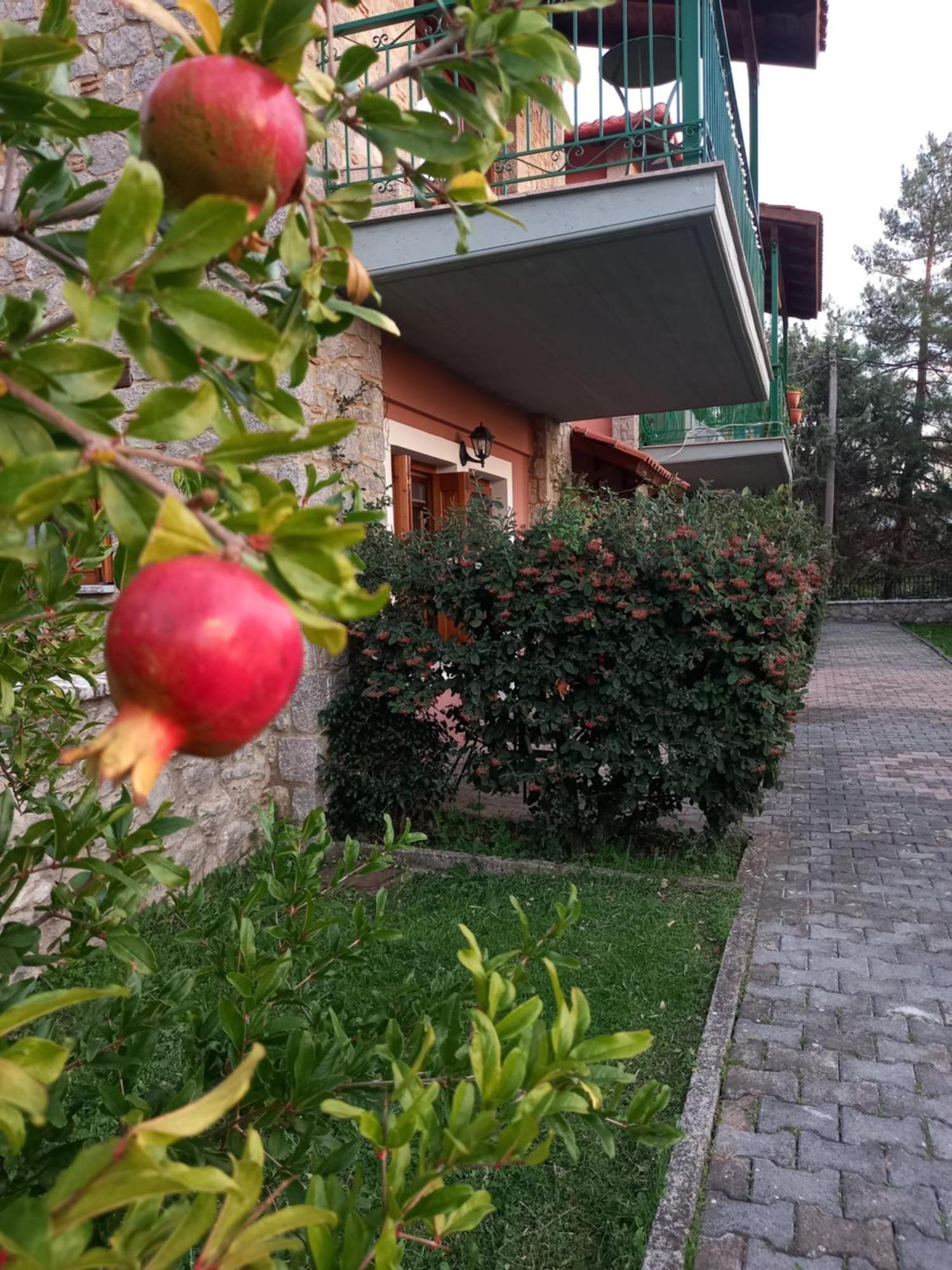 Kastalia Country Home Arachova Exterior foto